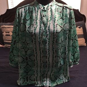 Violet & Claire Blouse 1X